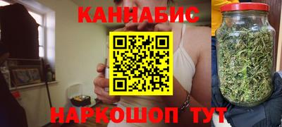 молекула духа Будённовск