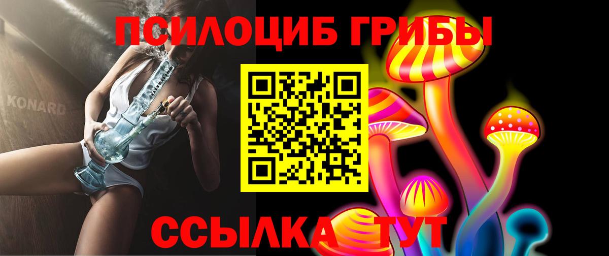 Псилоцибиновые грибы GOLDEN TEACHER Саратов